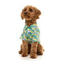 Fuzzyard Dog Button Up Shirt - Bananarama Size 2