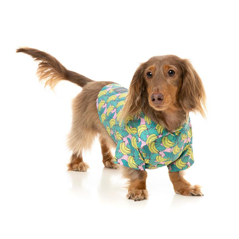 Fuzzyard Dog Button Up Shirt - Bananarama Size 2