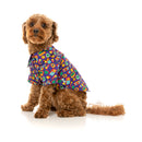 Fuzzyard Dog Button Up Shirt - Highscore Size 3