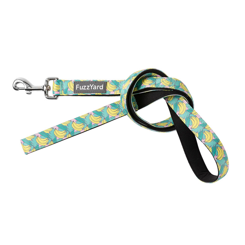 Fuzzyard Dog Lead Bananarama L 2.5cm x 140cm