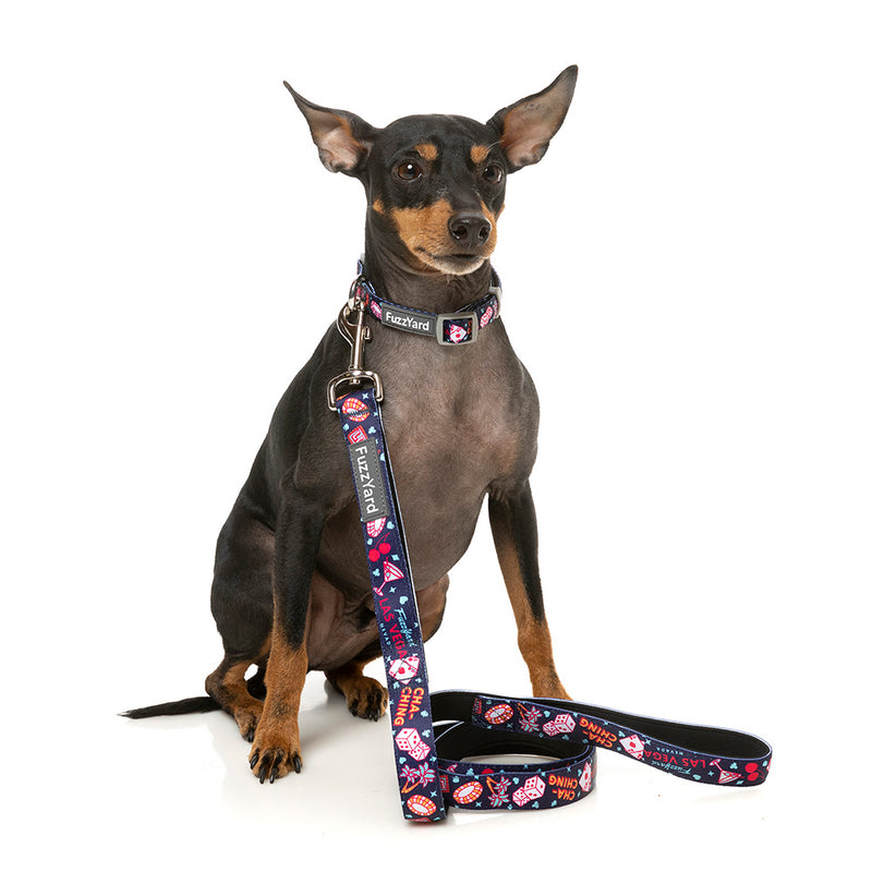 Fuzzyard Dog Lead Jackpup L 2.5cm x 140cm