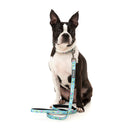 Fuzzyard Dog Lead Wakey Wakey S 1.5cm x 120cm