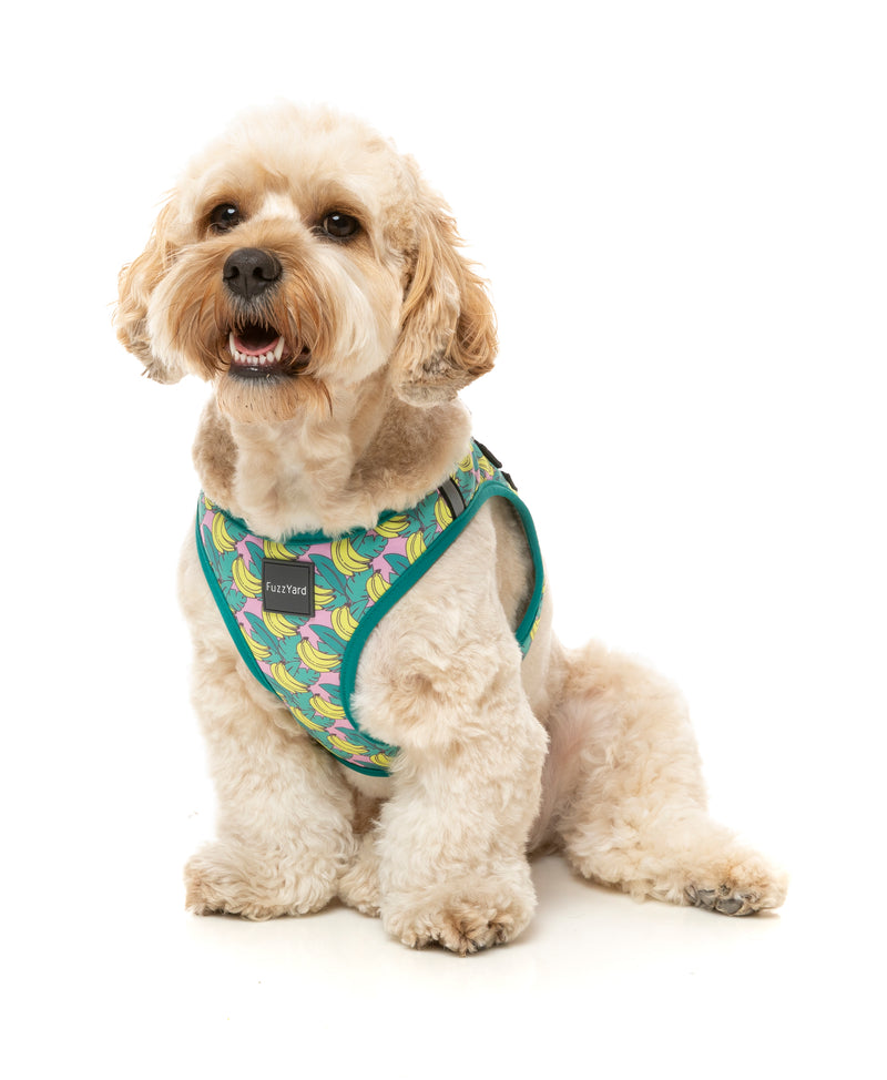 Fuzzyard Dog Step In Harness Bananarama S