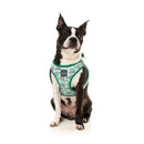 Fuzzyard Dog Step In Harness Dreamtime Koalas XS