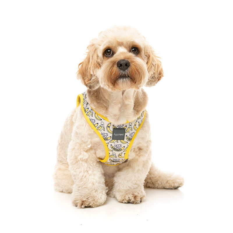 Fuzzyard Dog Step In Harness Go Bananas XL