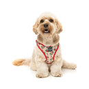 Fuzzyard Dog Step In Harness Ink'd Up M