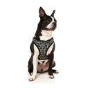 Fuzzyard Dog Step In Harness Savanna L