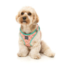 Fuzzyard Dog Step In Harness Two-Cans S