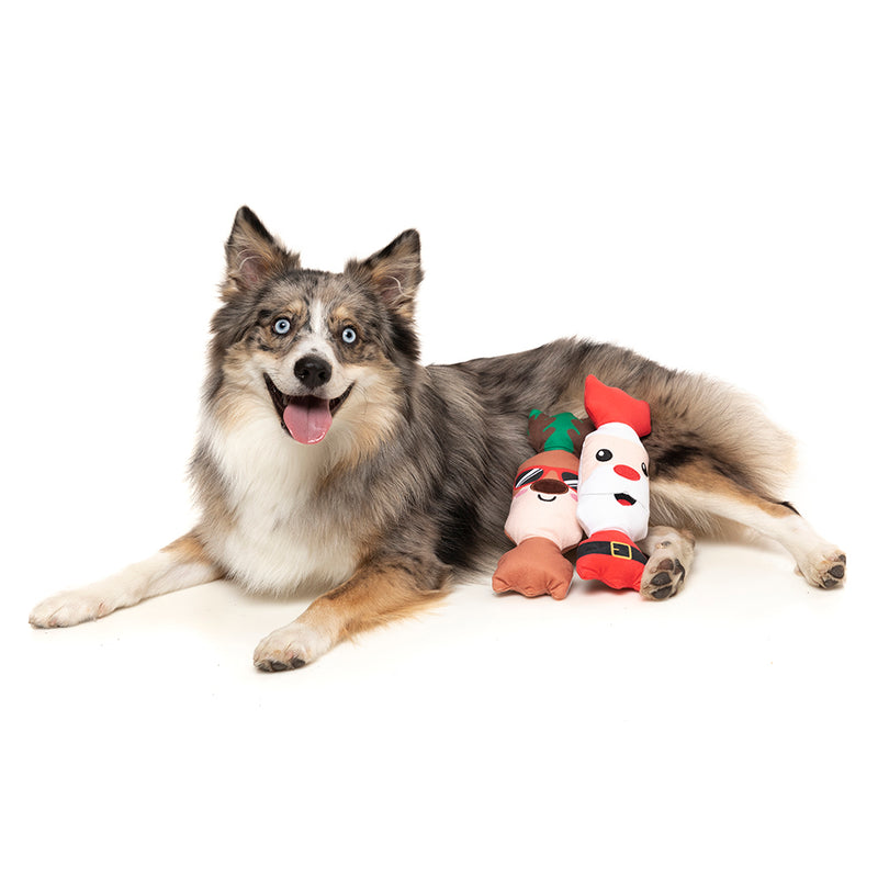 Fuzzyard Happy Howlidays Plush Dog Toy - Shake Your Bon Bons