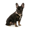 Fuzzyard Pet Bowtie Ink'd Up L