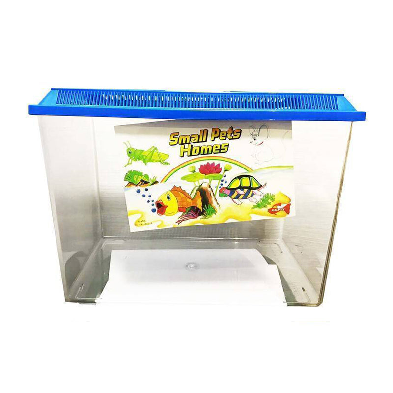 Guppy Small Pets Homes