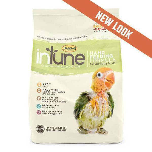 Higgins Intune Hand Feeding Fomula 10oz