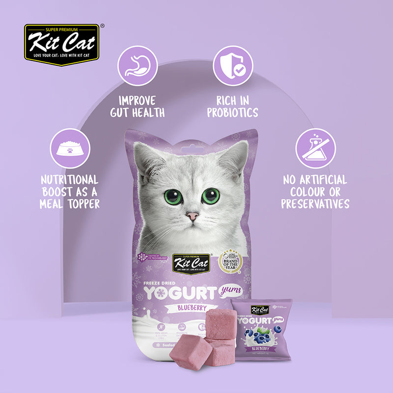 KitCat Cat Freeze-Dried Yogurt Yums Blueberry 10g (1g x 10)