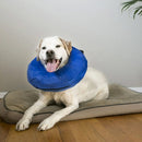 Kong Cloud Collar XL (ELX)