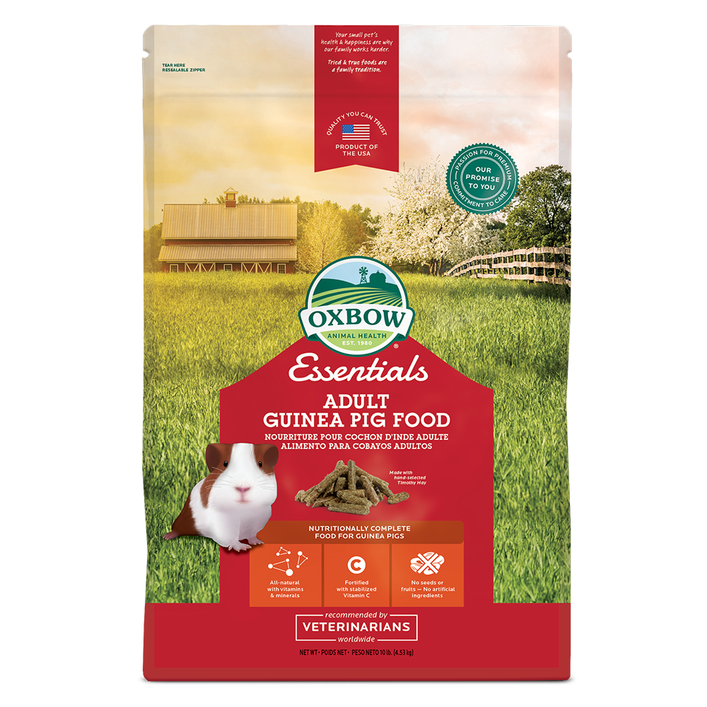 Oxbow Essentials Adult Guinea Pig Food 10lb