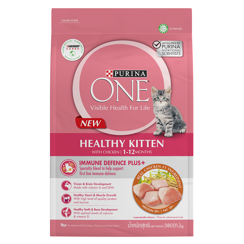 Purina One Healthy Kitten Dry Cat Food 380g
