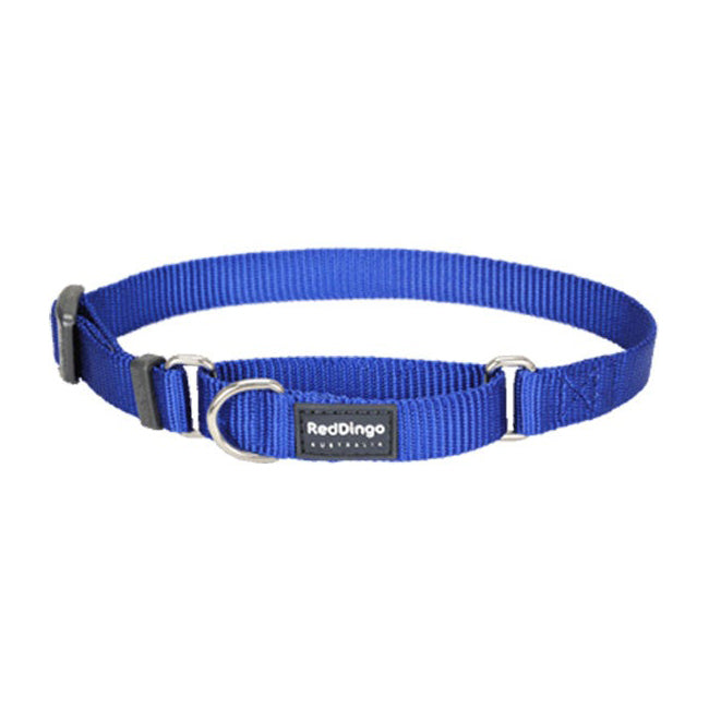 Red Dingo Dog Martingale Collar Blue (20mm x 32-47cm)