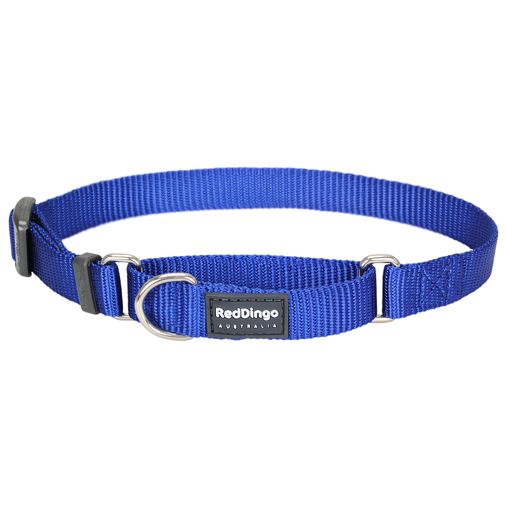 Red Dingo Dog Martingale Collar Dark Blue (25mm x 41-63cm)