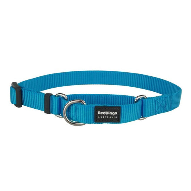 Red Dingo Dog Martingale Collar Turquoise (15mm x 24-36cm)