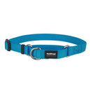 Red Dingo Dog Martingale Collar Turquoise (15mm x 24-36cm)