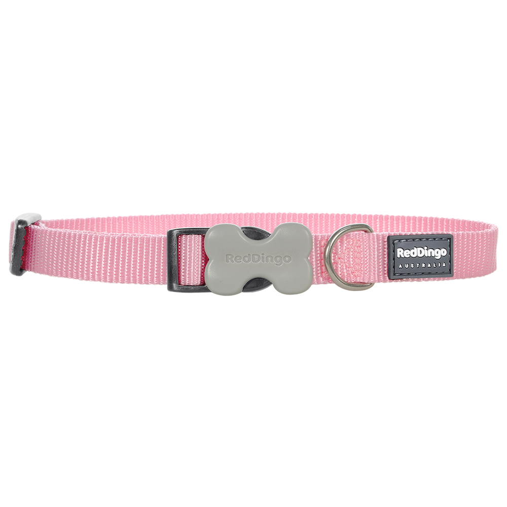 Red Dingo Dog Collar Pink (25mm x 41-63cm)