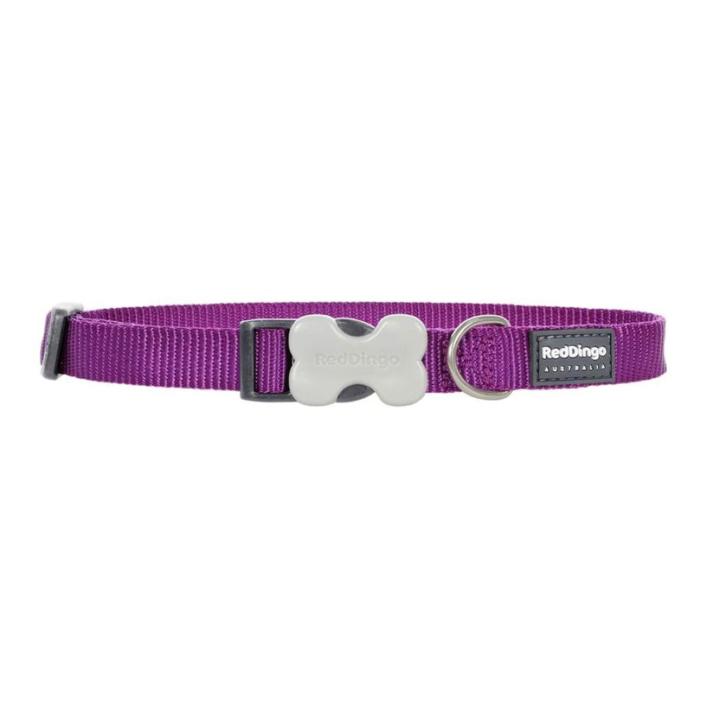 Red Dingo Dog Collar Purple (20mm x 31-47cm)
