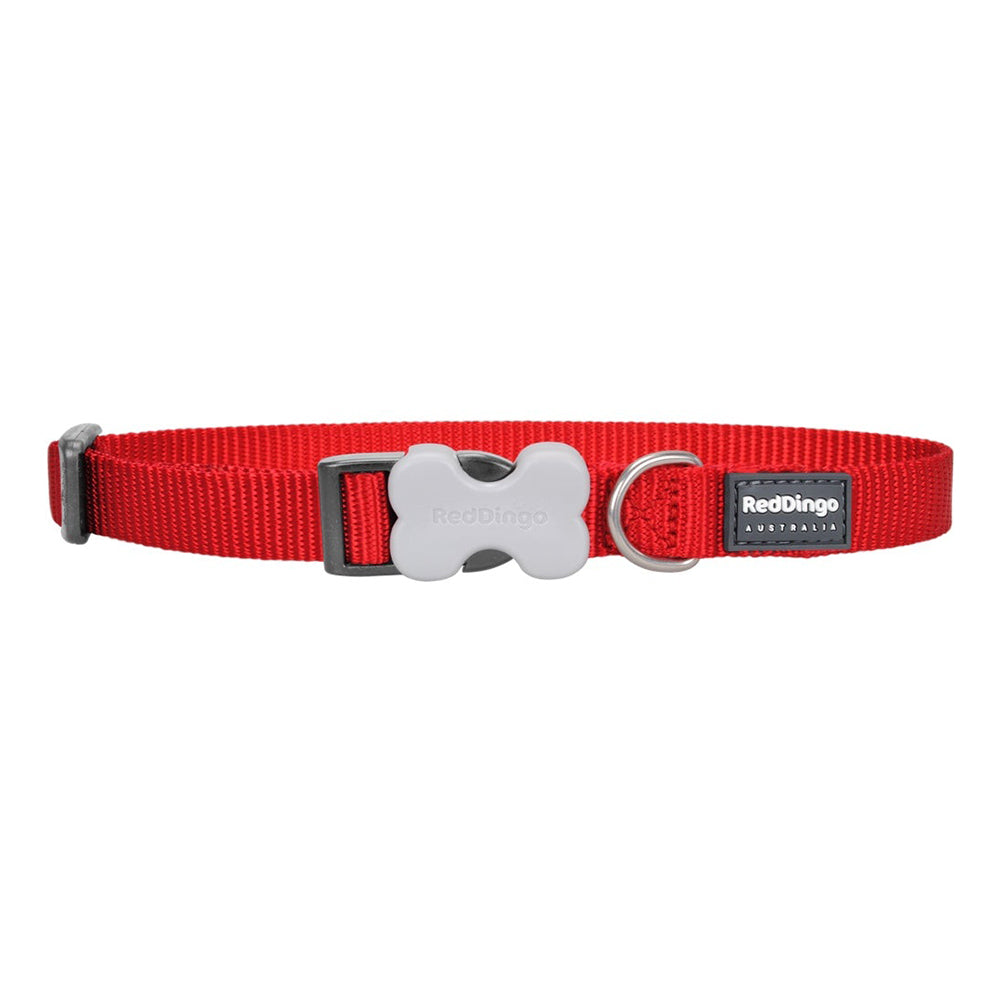 Red Dingo Dog Collar Red (20mm x 31-47cm)