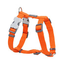 Red Dingo Dog Plain Harness Orange L 25mm
