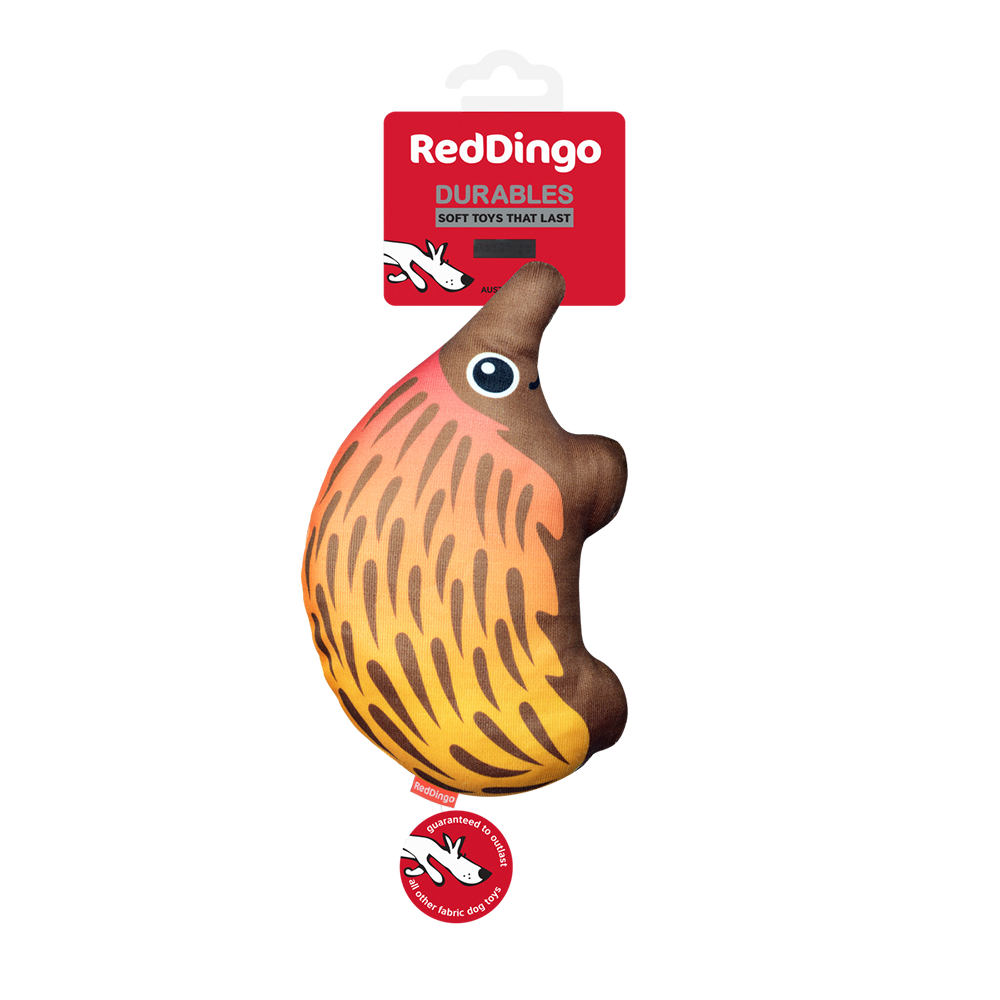 Red Dingo Durables Soft Toys Echidna
