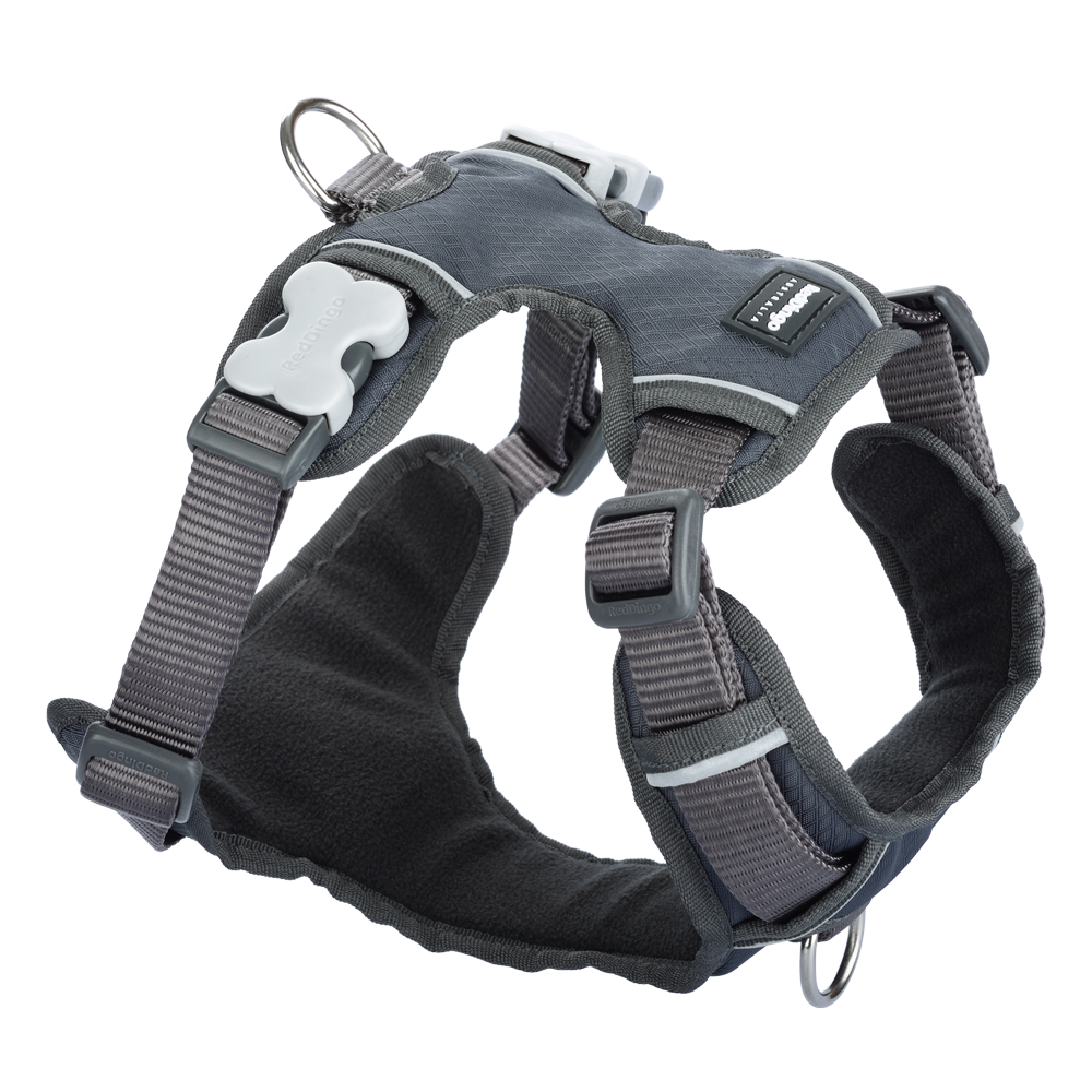Red Dingo Padded Harness Grey XS