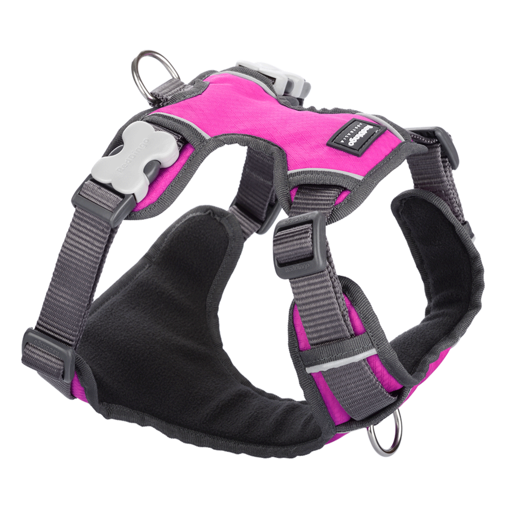Red Dingo Padded Harness Hot Pink XL