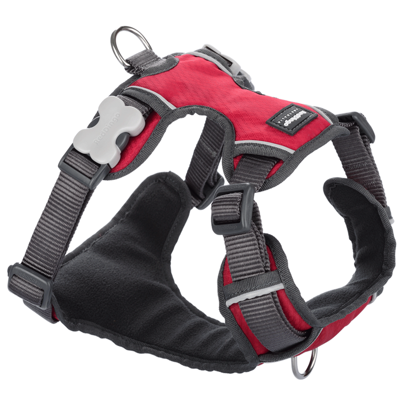 Red Dingo Padded Harness Red L