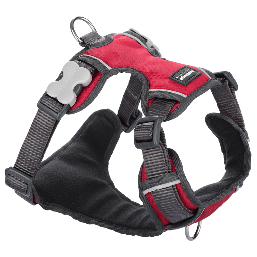 Red Dingo Padded Harness Red M