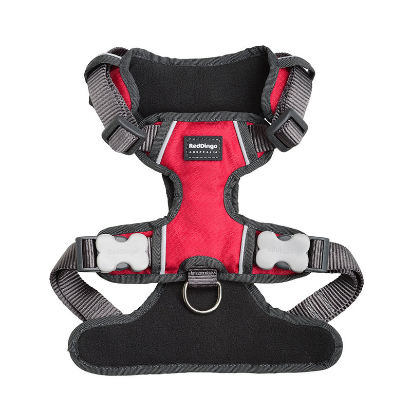 Red Dingo Padded Harness Red L