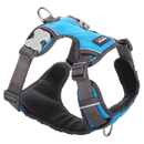 Red Dingo Padded Harness Turquoise L