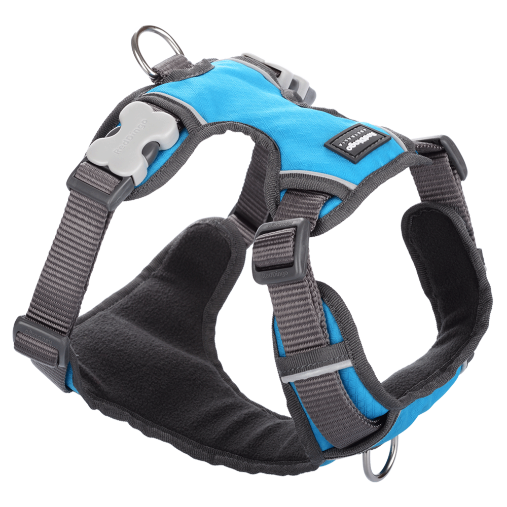 Red Dingo Padded Harness Turquoise S
