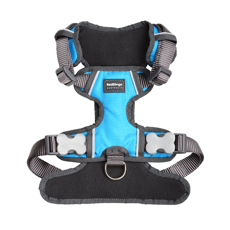 Red Dingo Padded Harness Turquoise XS