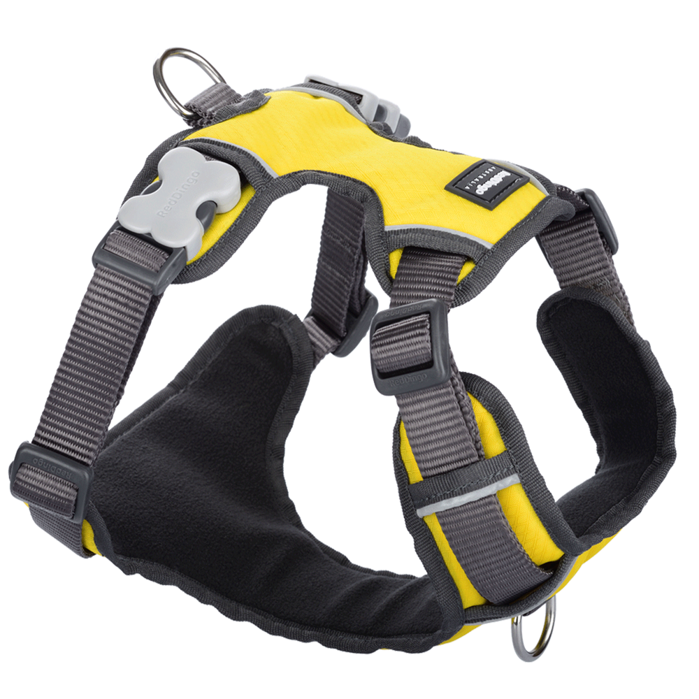 Red Dingo Padded Harness Yellow XL