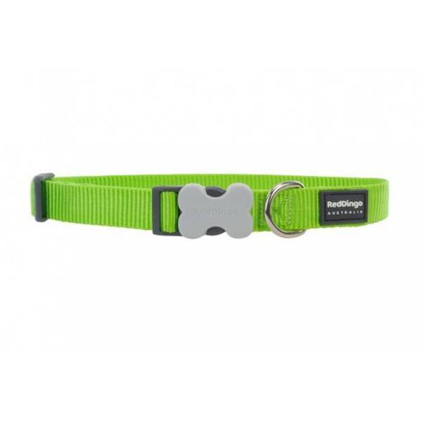 Red Dingo Dog Collar Lime Green (15mm x 24-36cm)