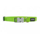 Red Dingo Dog Collar Lime Green (15mm x 24-36cm)