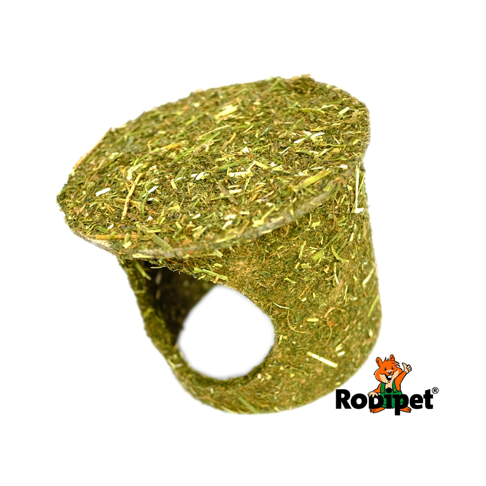 Rodipet Enterrado Burrow
