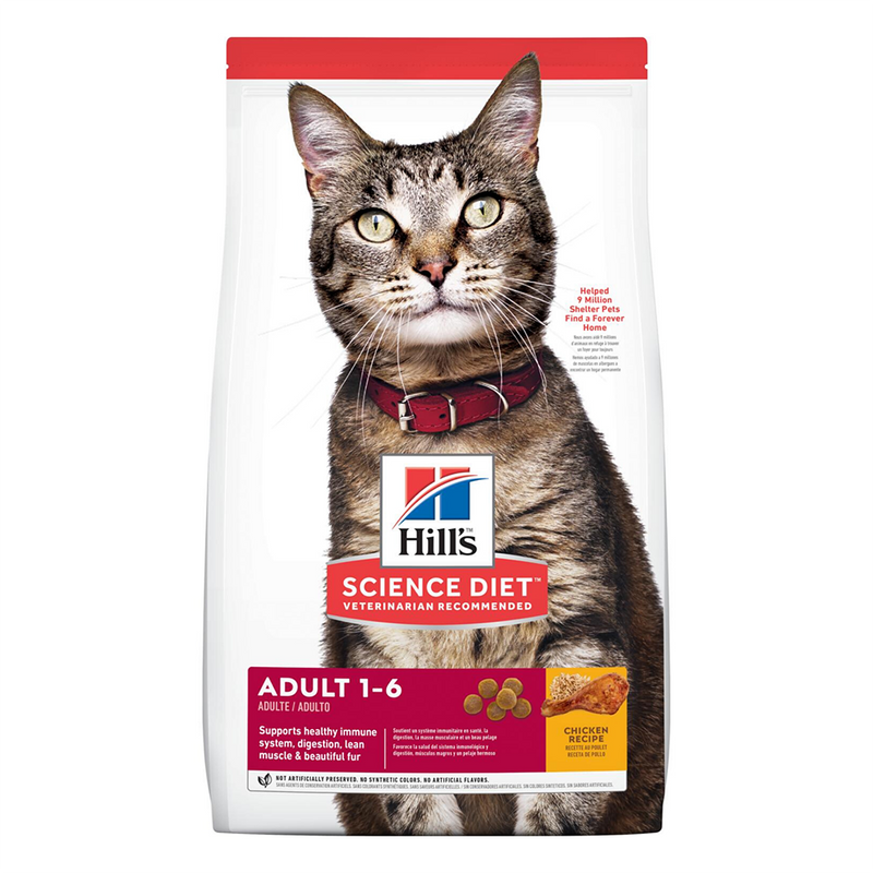 Science diet kitten store 4kg