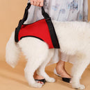 Tailup Dog Back Lift Support Harness Red S