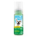 Tropiclean Fresh Breath Instant Fresh Foam 4.5oz