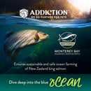 Addiction Cat Salmon Bleu 4lb