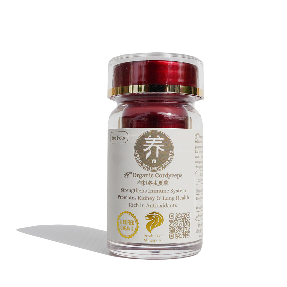 Yo Organic Cordyceps for Pets 30caps
