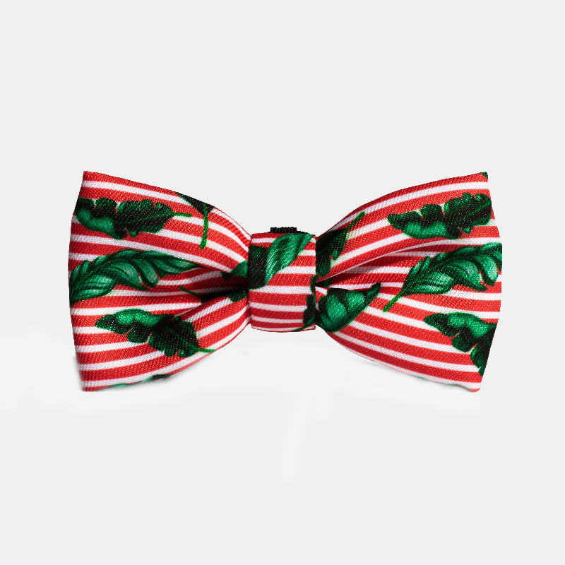 Zee.Dog Bow Tie Bali S