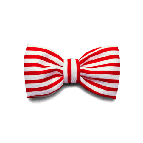 Zee.Dog Bow Tie Cadillac S