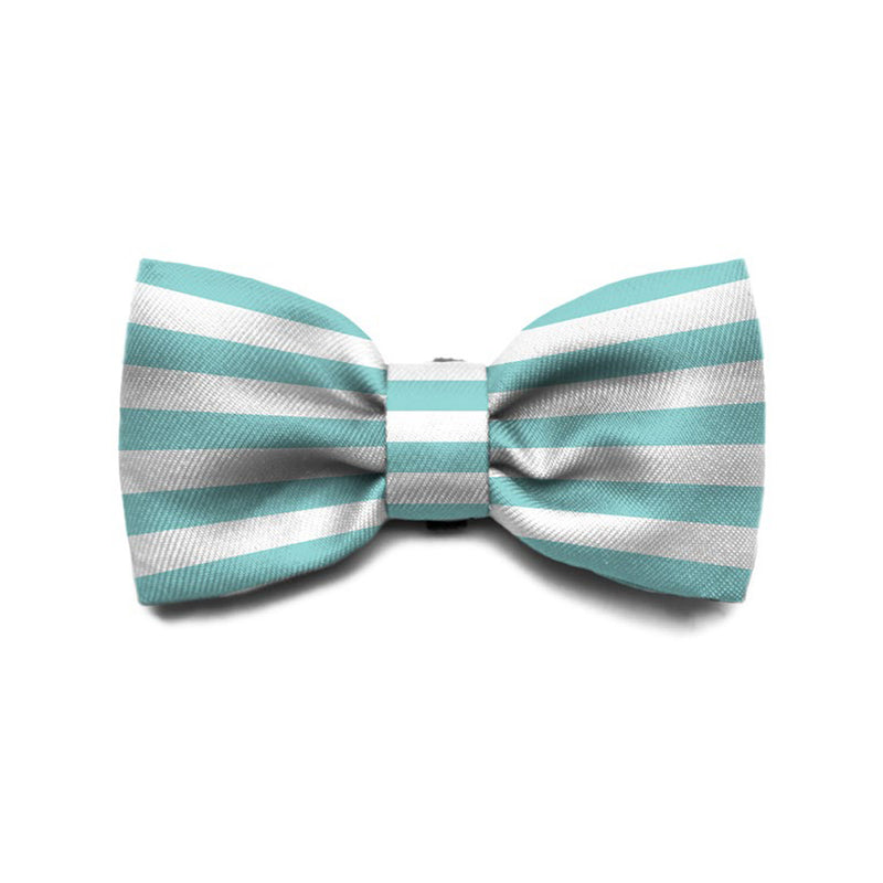 Zee.Dog Bow Tie Florida S