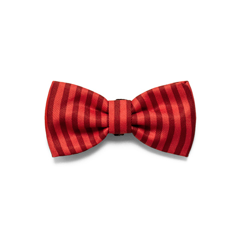 Zee.Dog Bow Tie Fuji S